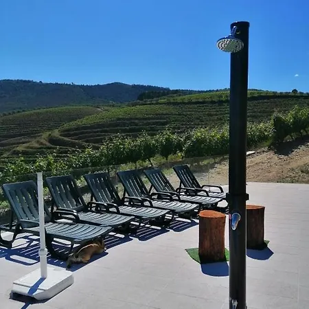 Quinta Teoria - Teoria