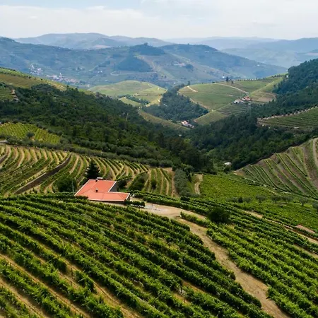 Quinta Teoria - Teoria סברוסה