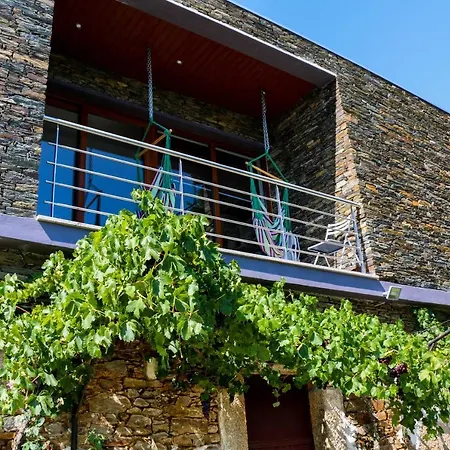 Quinta Teoria - Teoria * Sabrosa