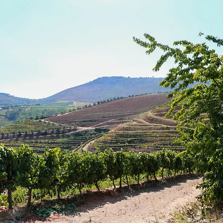 Quinta Teoria - Teoria Prázdninový dům *