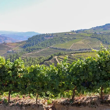 Quinta Teoria - Teoria * Sabrosa