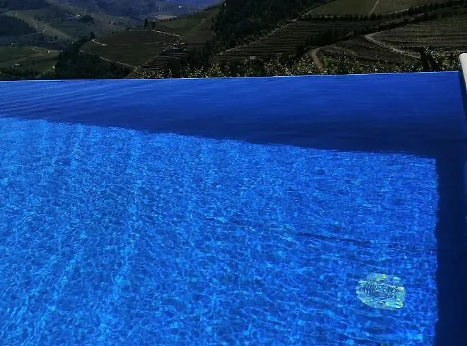 Quinta Teoria - Teoria * סברוסה