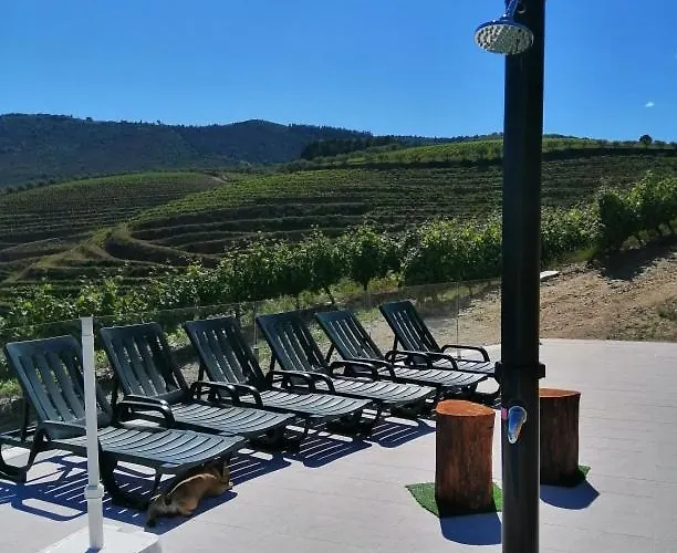 Quinta Teoria - Teoria