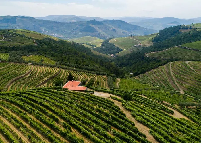 Quinta Teoria - Teoria סברוסה