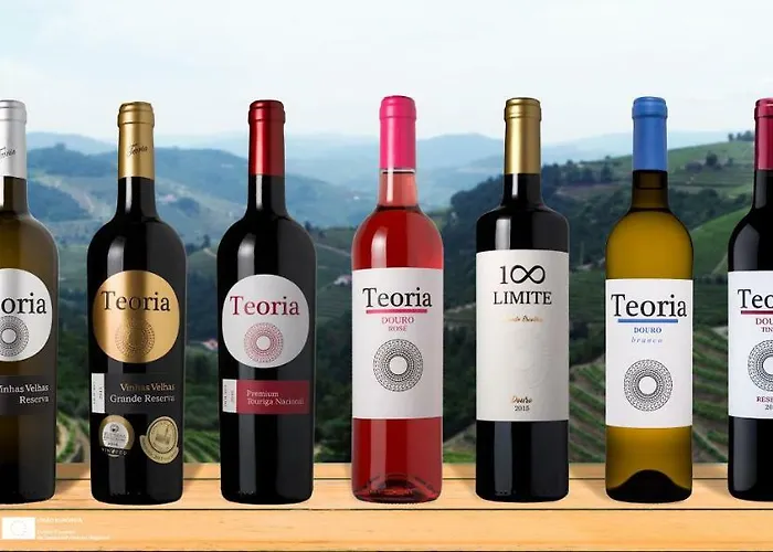 Quinta Teoria - Teoria סברוסה