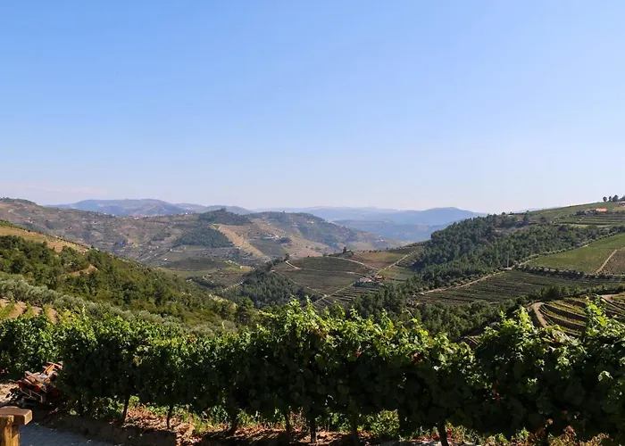 בית נופש Quinta Teoria - Teoria סברוסה