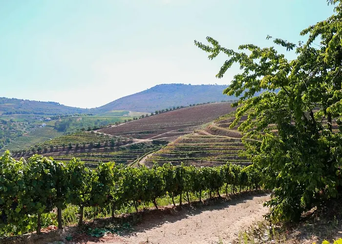 Quinta Teoria - Teoria בית נופש *