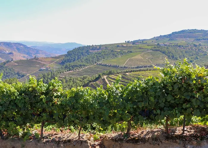 Quinta Teoria - Teoria * Sabrosa